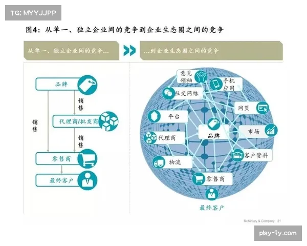 体育产业生态圈逐步形成 多元主体共促价值循环